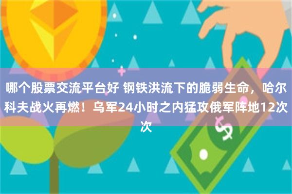 哪个股票交流平台好 钢铁洪流下的脆弱生命，哈尔科夫战火再燃！乌军24小时之内猛攻俄军阵地12次