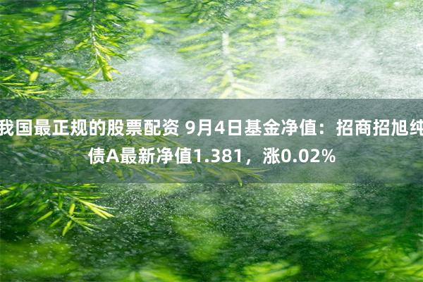 我国最正规的股票配资 9月4日基金净值：招商招旭纯债A最新净值1.381，涨0.02%