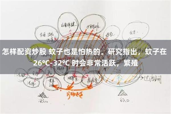 怎样配资炒股 蚊子也是怕热的。研究指出，蚊子在 26℃-32℃ 时会非常活跃，繁殖