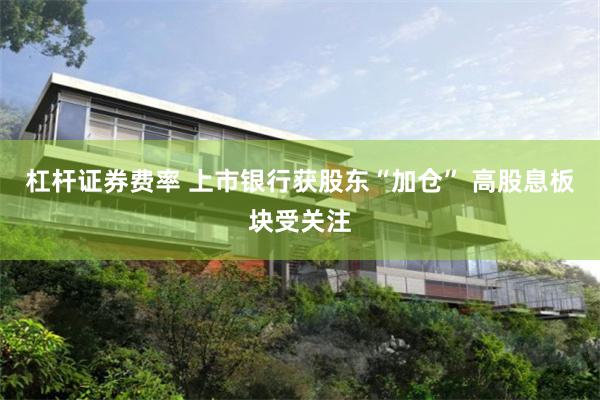 杠杆证券费率 上市银行获股东“加仓” 高股息板块受关注