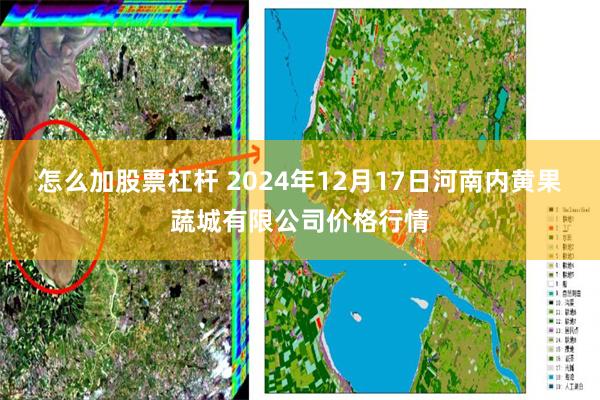 怎么加股票杠杆 2024年12月17日河南内黄果蔬城有限公司价格行情