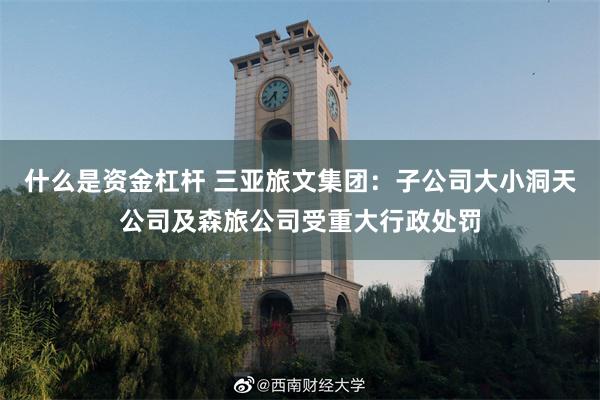 什么是资金杠杆 三亚旅文集团：子公司大小洞天公司及森旅公司受重大行政处罚