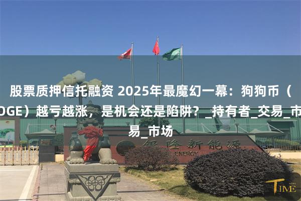 股票质押信托融资 2025年最魔幻一幕：狗狗币（DOGE）越