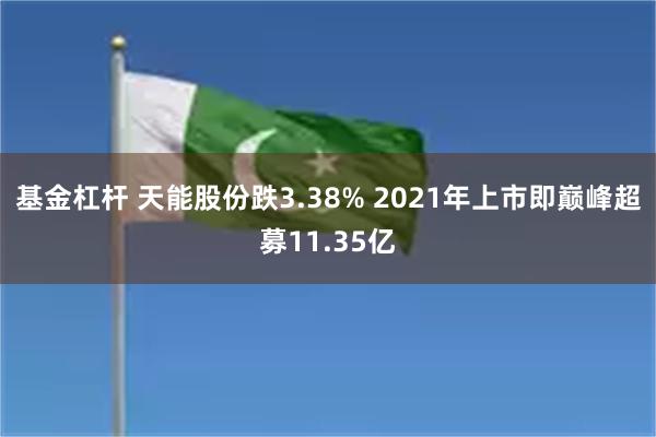 基金杠杆 天能股份跌3.38% 2021年上市即巅峰超募11