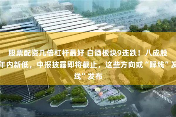 股票配资几倍杠杆最好 白酒板块9连跌！八成股创年内新低，中报