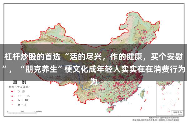 杠杆炒股的首选 “活的尽兴，作的健康，买个安慰”， “朋克养生”梗文化成年轻人实实在在消费行为